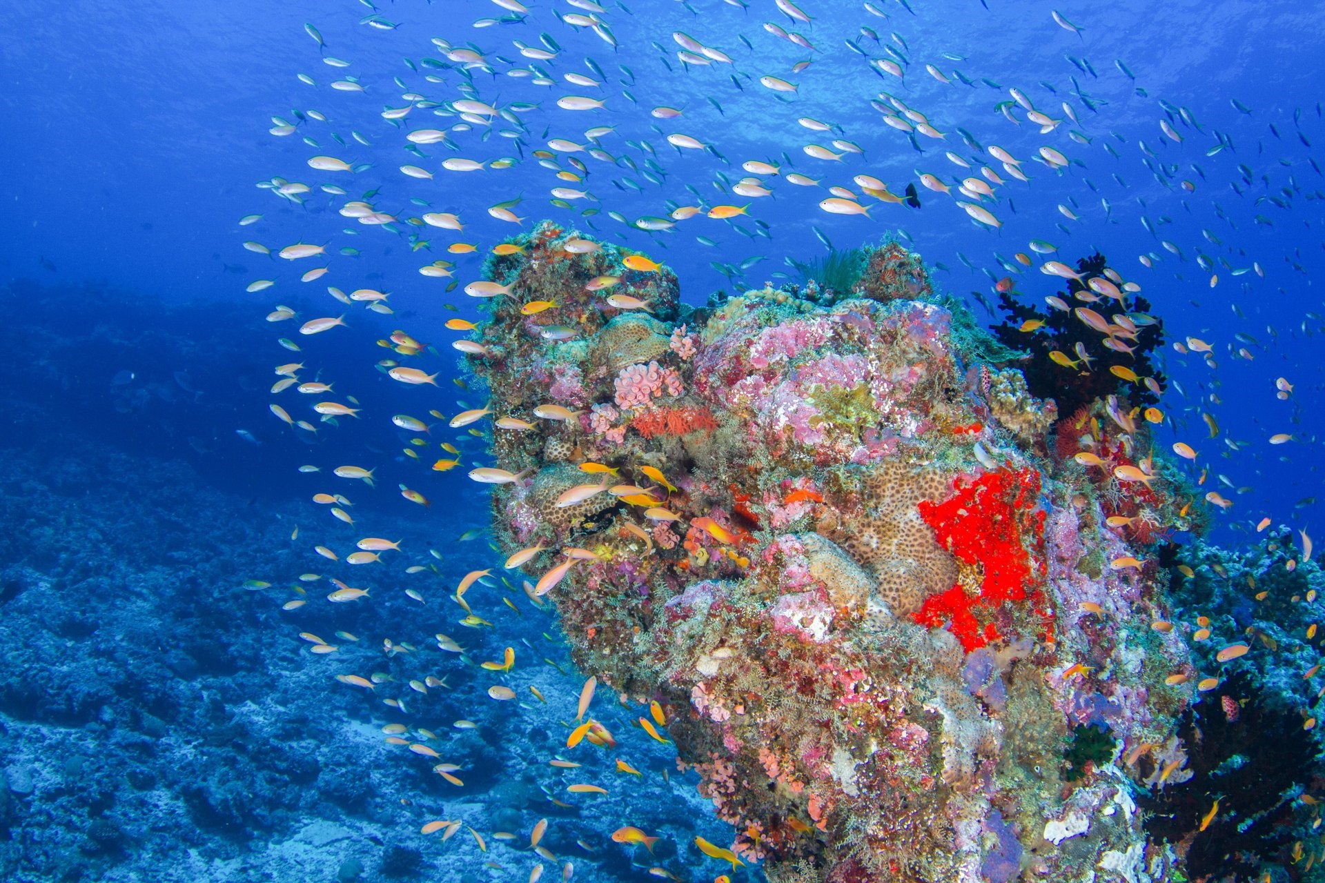 Immagine di sfondo della pagina Seychelles: turismo sostenibile tra mare e natura