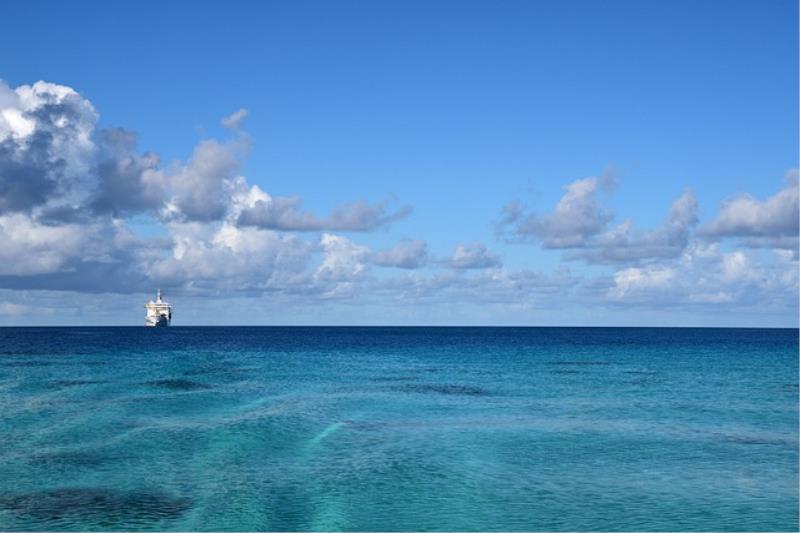 Immagine Le 5 migliori spiagge delle Isole Falkland