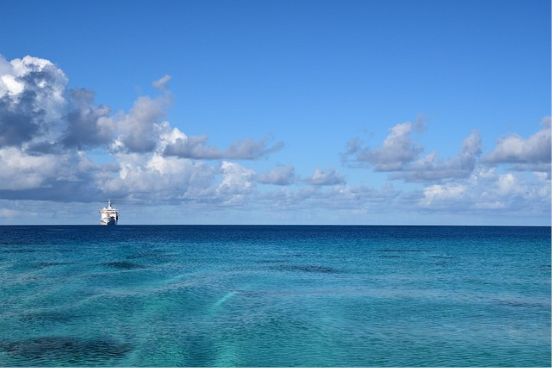 Immagine di sfondo della pagina Le 5 migliori spiagge delle Isole Falkland