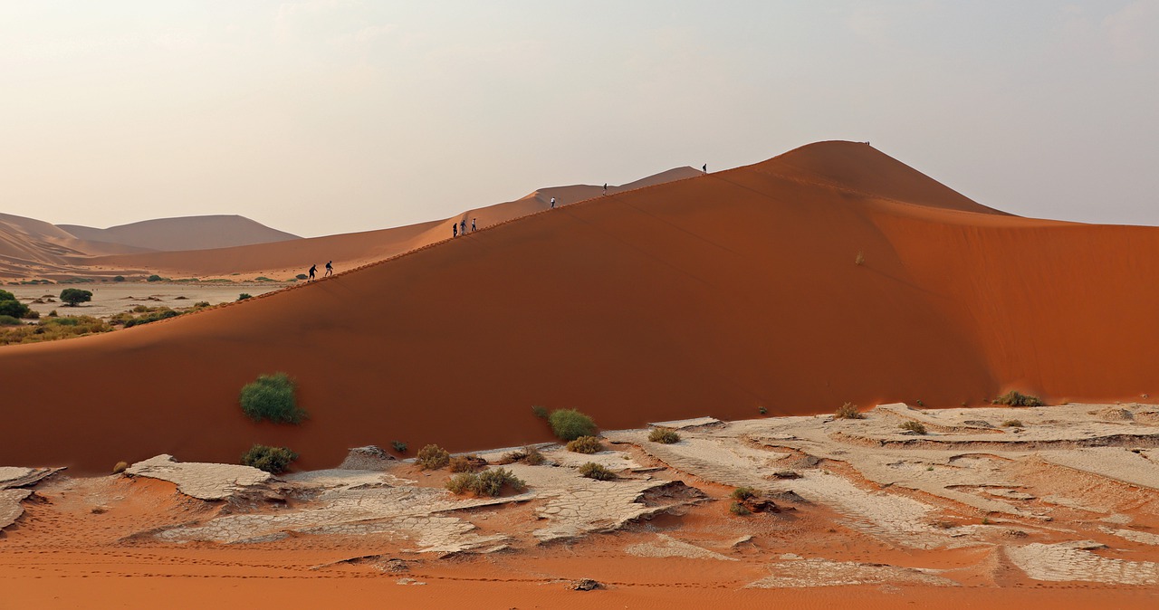 Immagine di sfondo della pagina Il deserto del Namib: un mare di sabbia