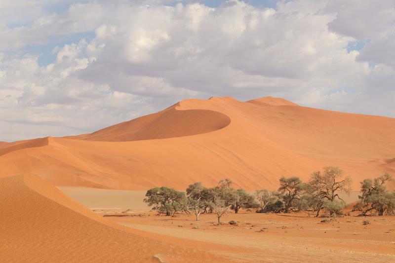 Immagine La Namibia dei contrasti