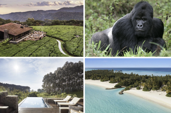 Immagine di sfondo della pagina ROAR AFRICA e One&Only Resorts lanciano "The Journey Beyond"