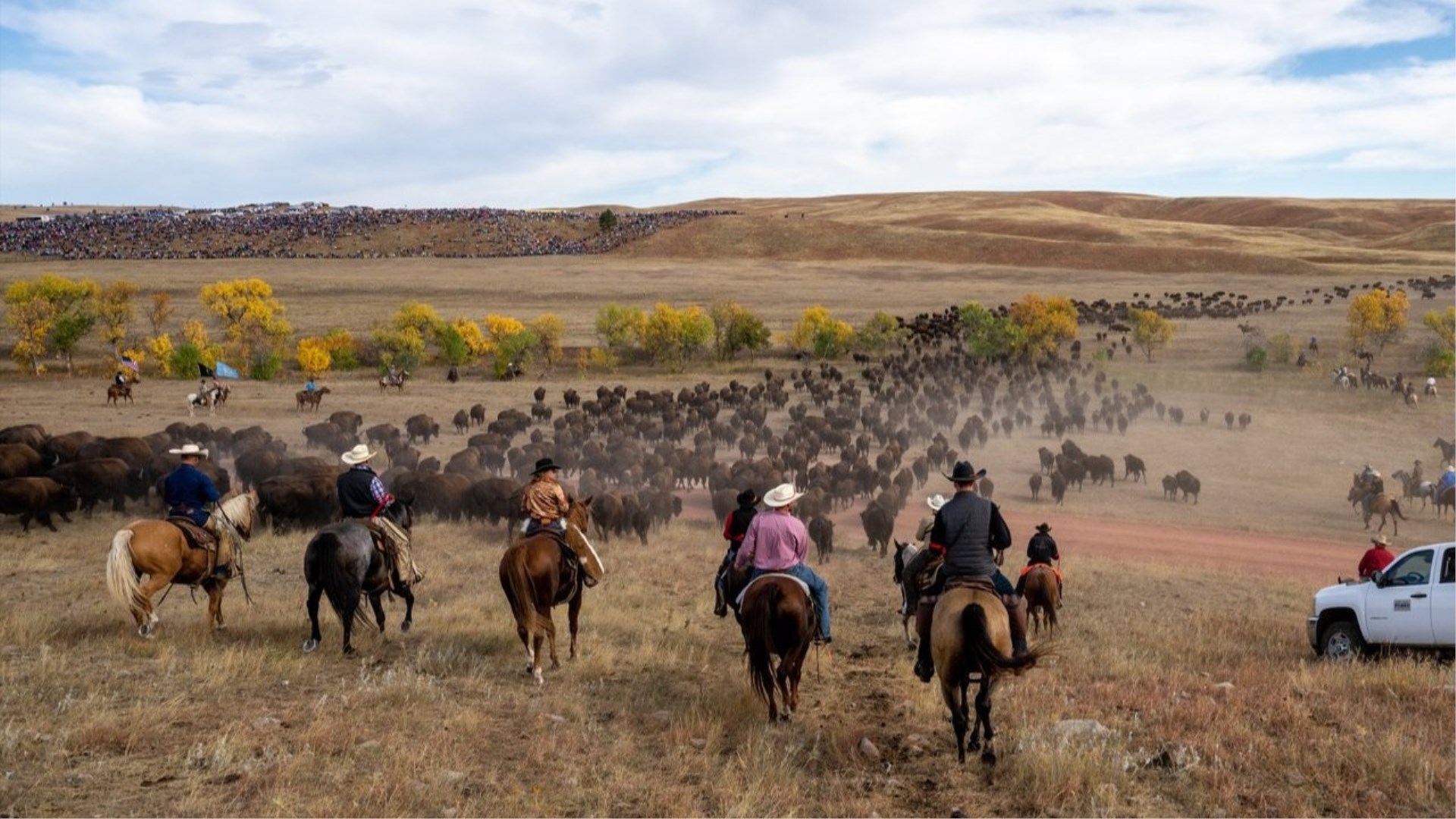 Immagine di sfondo della pagina 27 Settembre: Il Grande Raduno dei Bisonti nel South Dakota: : il Buffalo Round Up