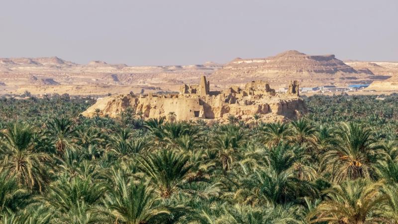 Immaigne dell'articolo L'Oasi di Siwa: Un Viaggio tra Storia e Leggenda