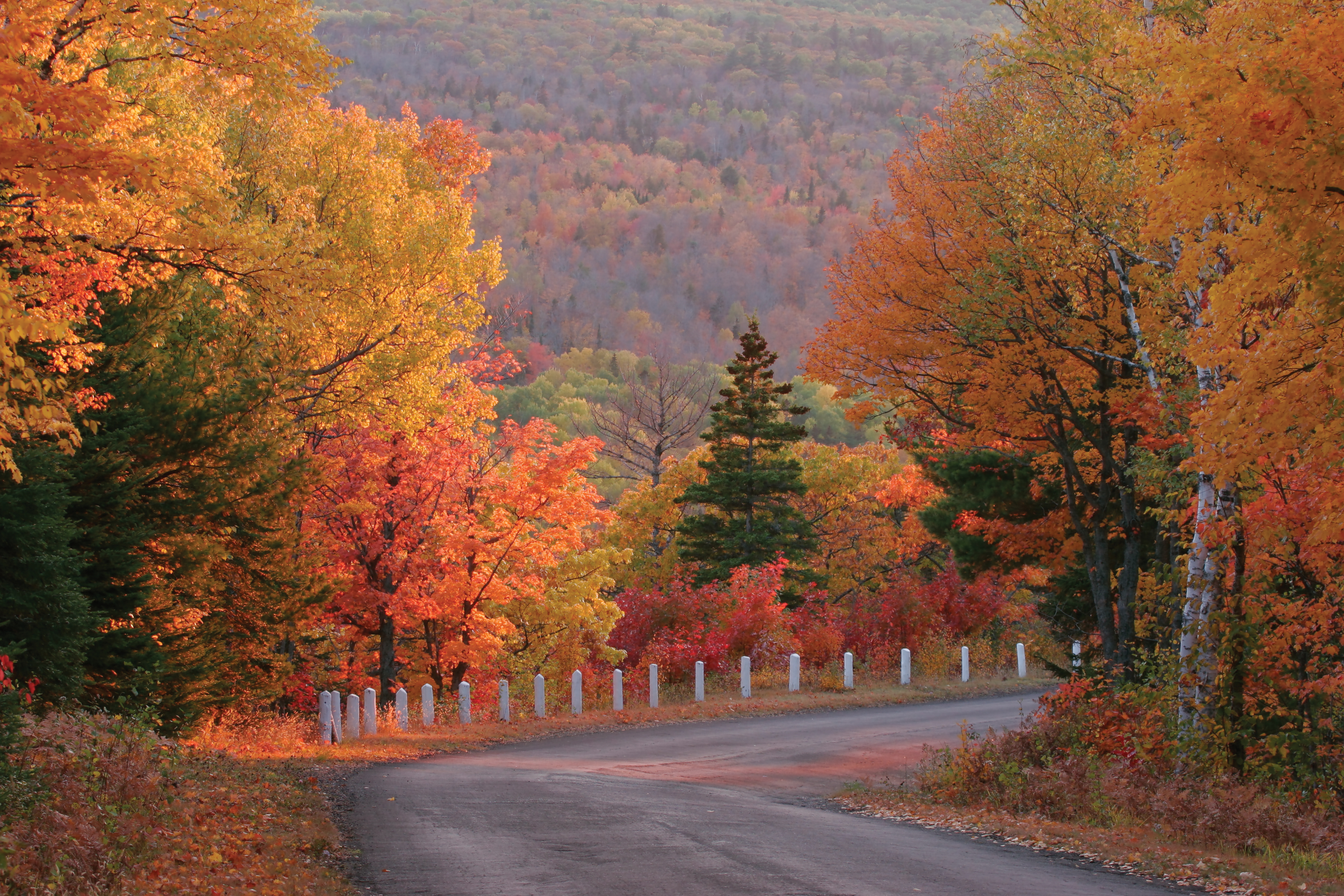 Immagine Visit The USA e le sette meraviglie d’autunno negli Stati Uniti