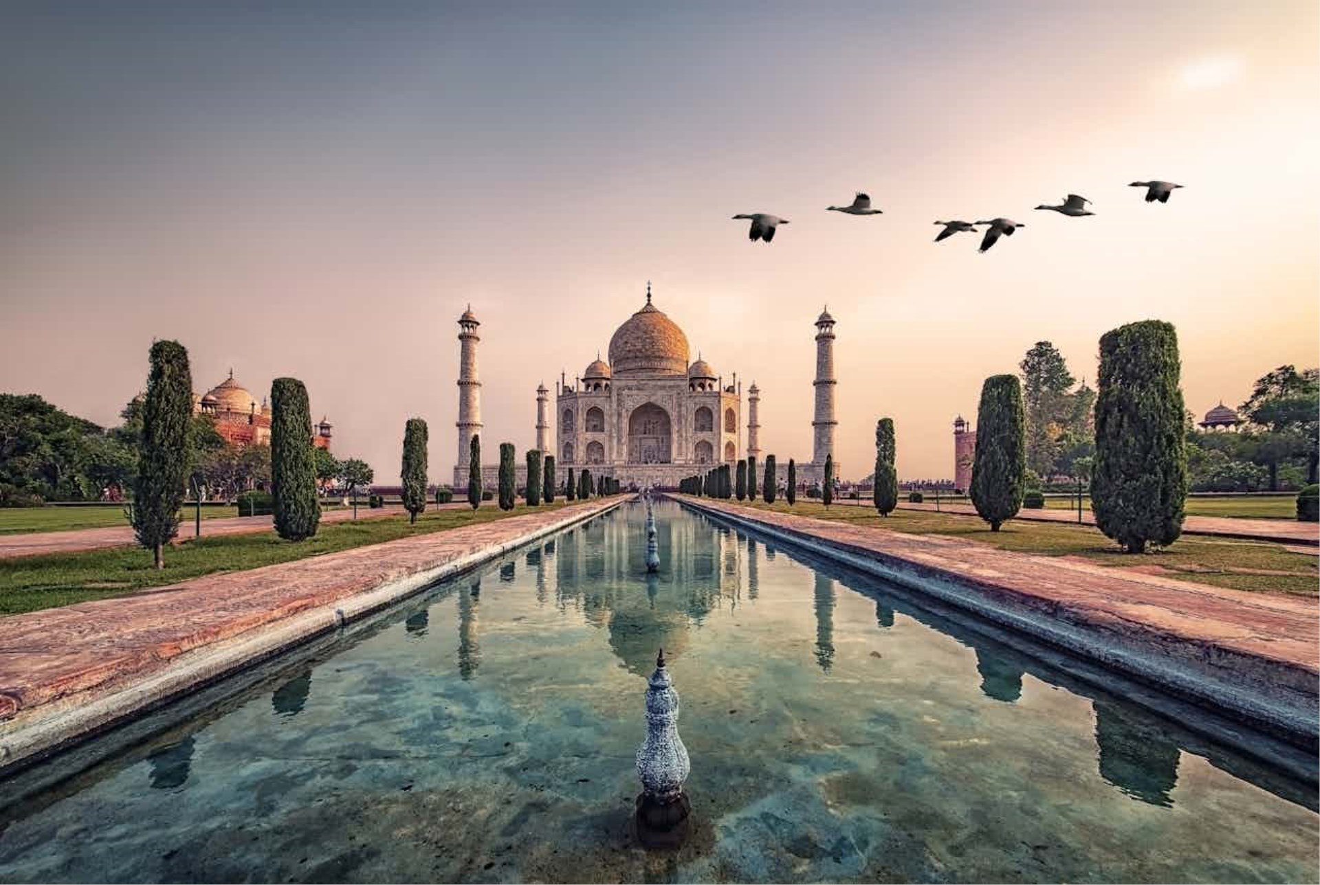 Immagine di sfondo della pagina Taj Mahal, tesoro dell'India