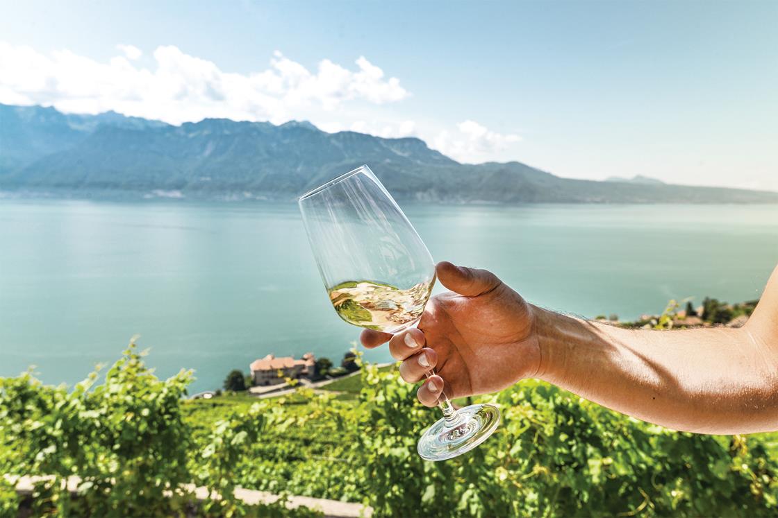 Immagine Itinerario enogastronomico nel Vaud