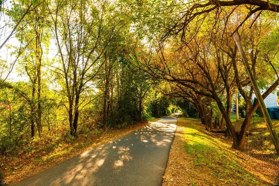 Immagine The Countryside of Philadelphia accoglie l’autunno con eventi e colori mozzafiato