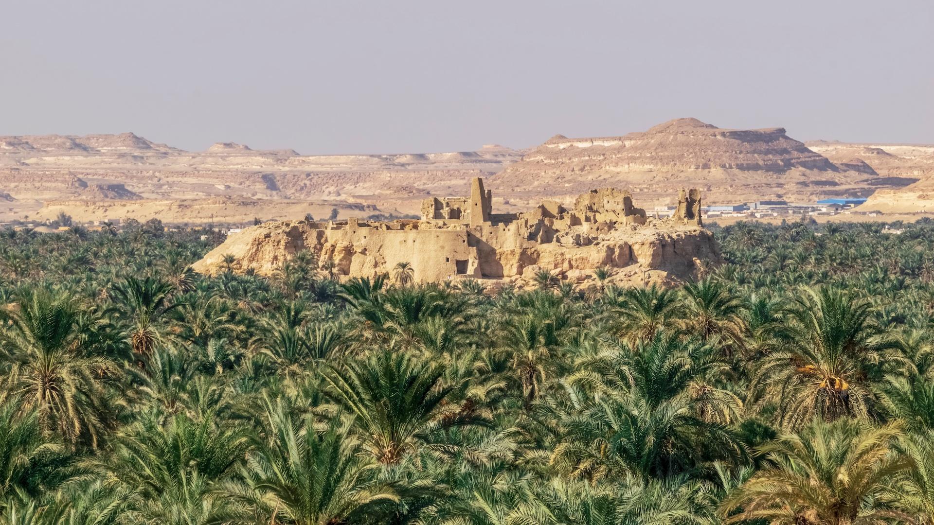 Oasis-de-Siwa-01