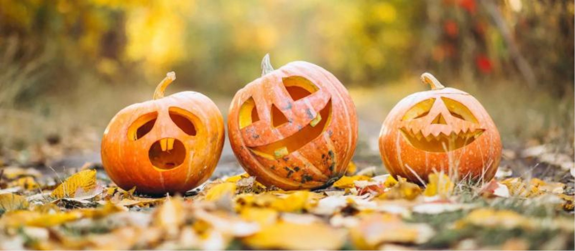 Immagine di sfondo della pagina Halloween tra zucche, tradizioni toscane e un weekend da sogno a Firenze