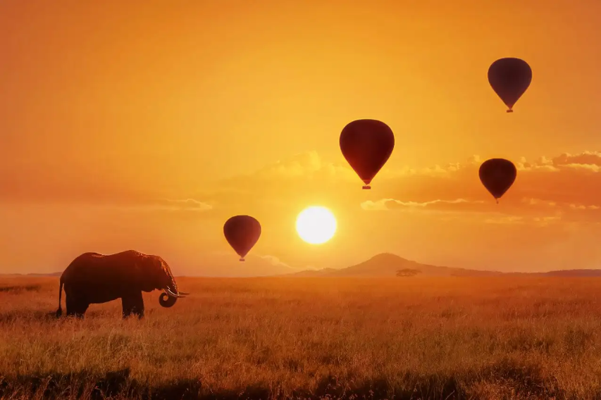 Masai Mara