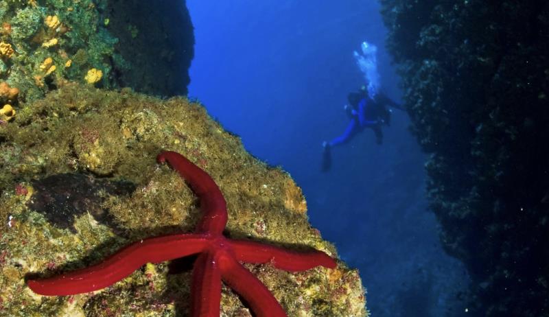 Immagine Immersioni in Albania