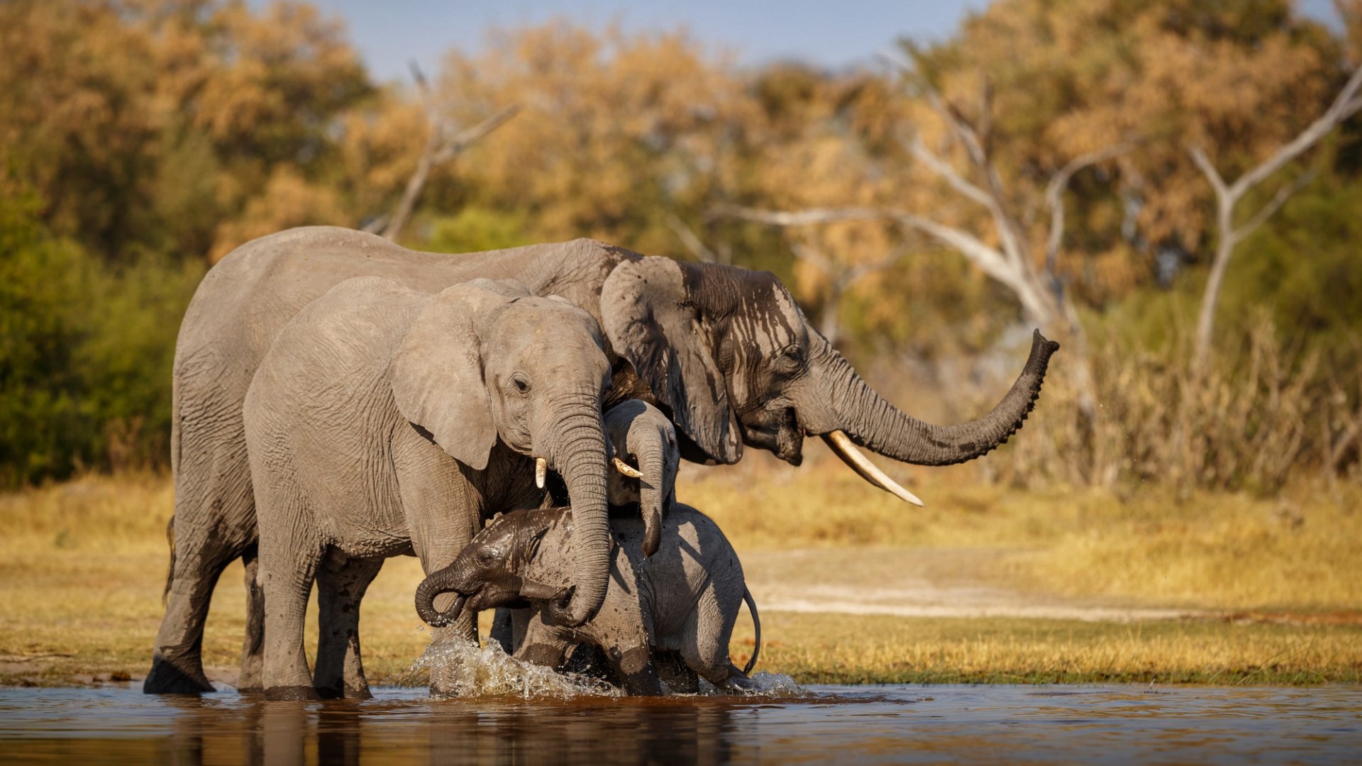 Immagine di sfondo della pagina Namibia