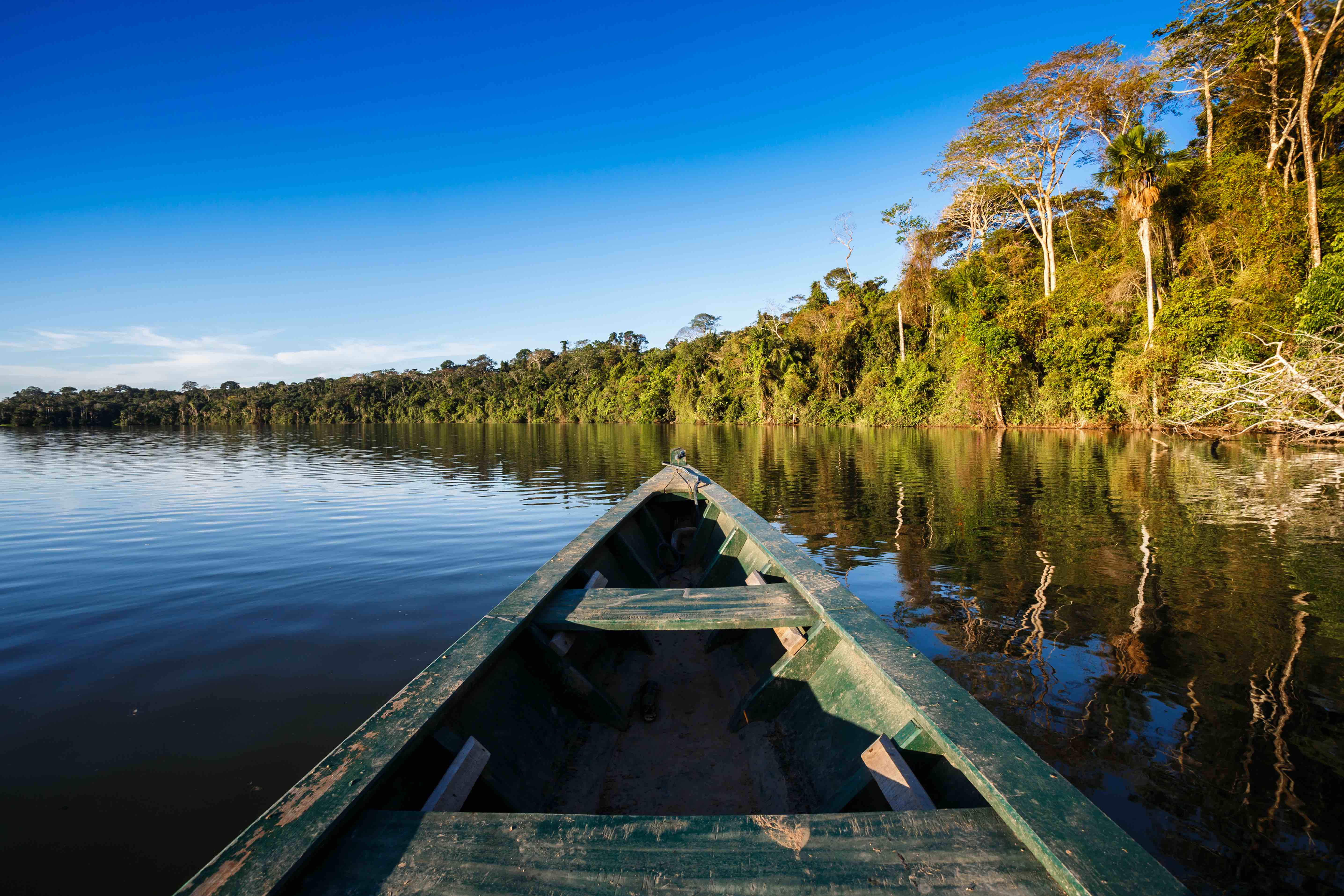 Immagine Scoprire l’Amazzonia Brasiliana con i nuovi viaggi di Tour2000AmericaLatina