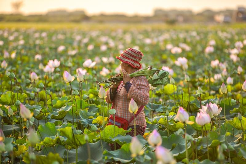 Immagine Una destinazione conveniente in Cambogia