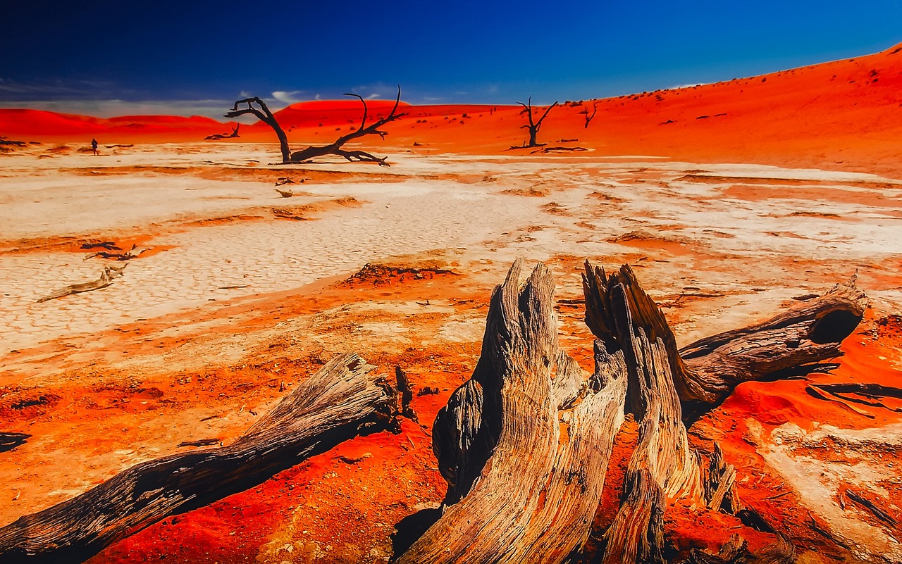 Immagine Namibia, tra deserti savane e culture autentiche