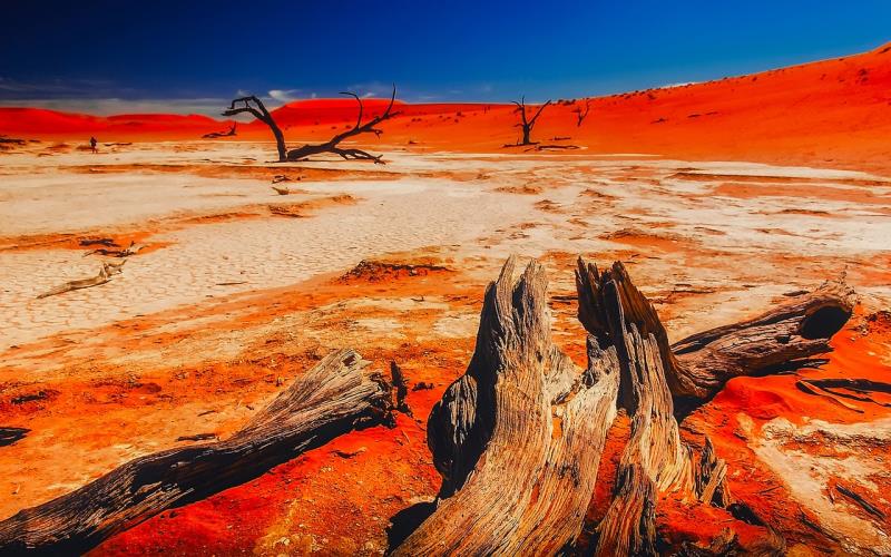 Immagine Namibia, tra deserti savane e culture autentiche