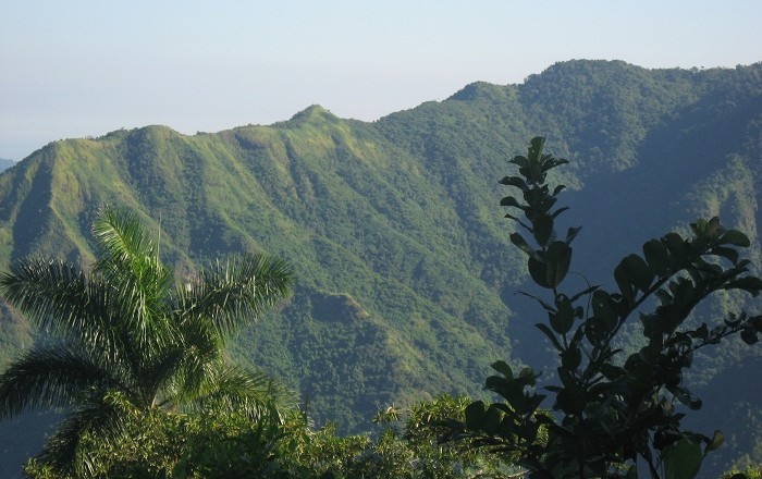 Immagine di sfondo della pagina La Cuba rurale della Sierra Maestra