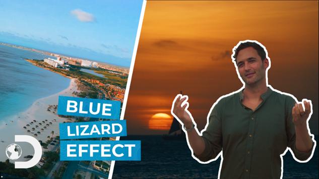 Immagine Blue Lizard Effect: il segreto meglio conservato di Aruba