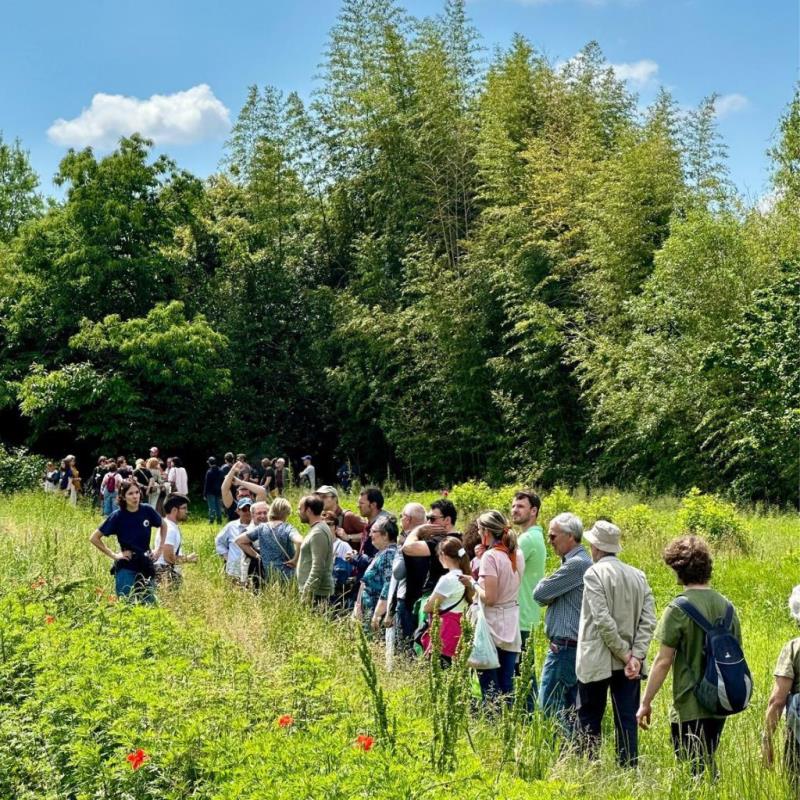 Immagine Giardino di Fondazione La Comune: un evento tra natura, accessibilità e inclusione per persone con disabilità