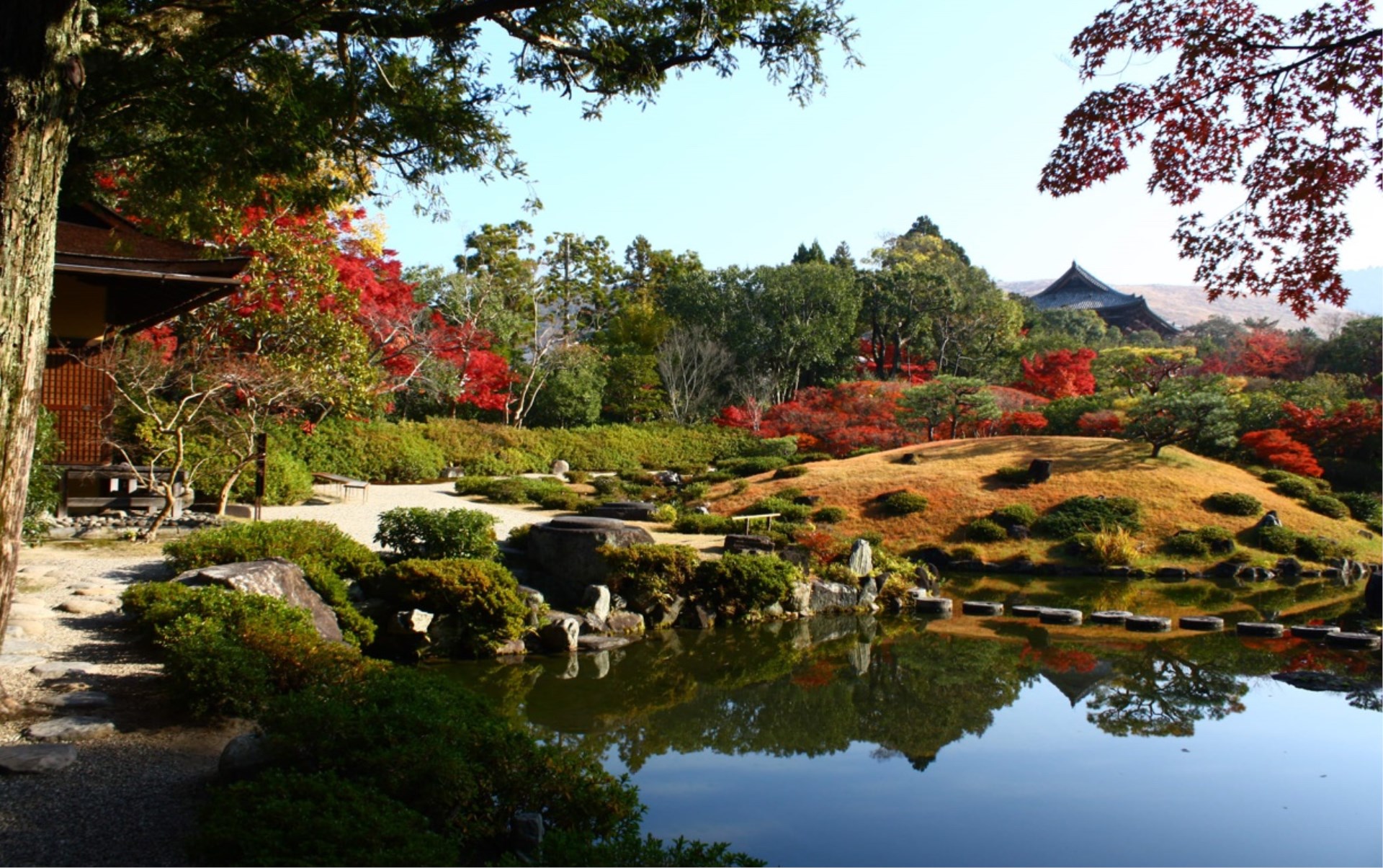 Immagine di sfondo della pagina Autunno in Giappone:  5 posti dove ammirare il foliage