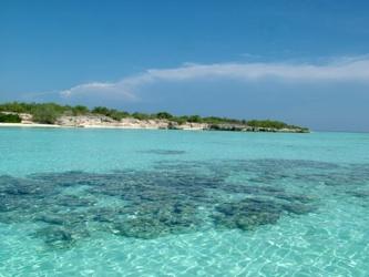 Immagine L'isola La Tortuga, Venezuela, mira al turismo internazionale