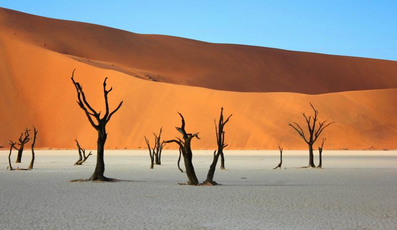 Immaigne dell'articolo Il parco nazionale di Namib-Naukluft