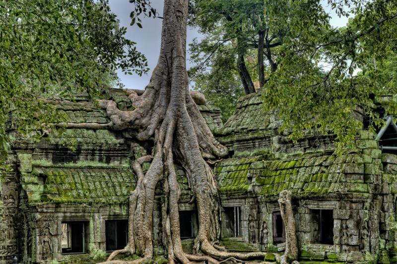 Immaigne dell'articolo Ta Prohm, Angkor